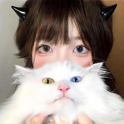 狄仁杰之运河惊龙